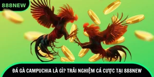đá gà campuchia